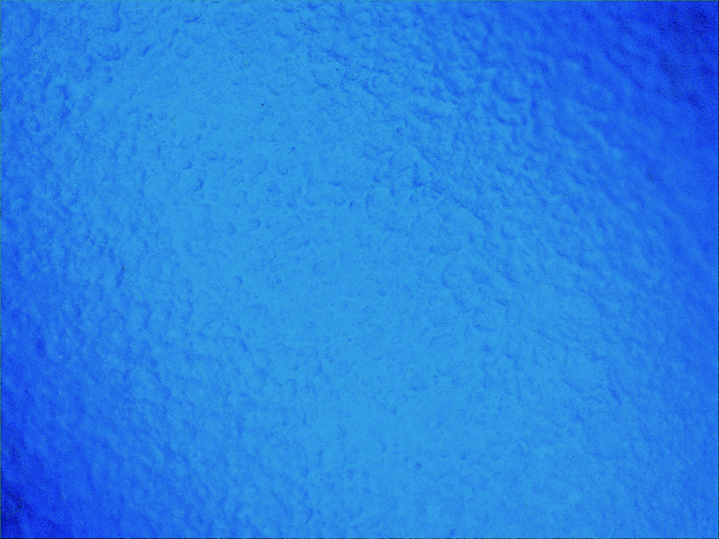 Global Glove 705PFE-L Zoomed In
