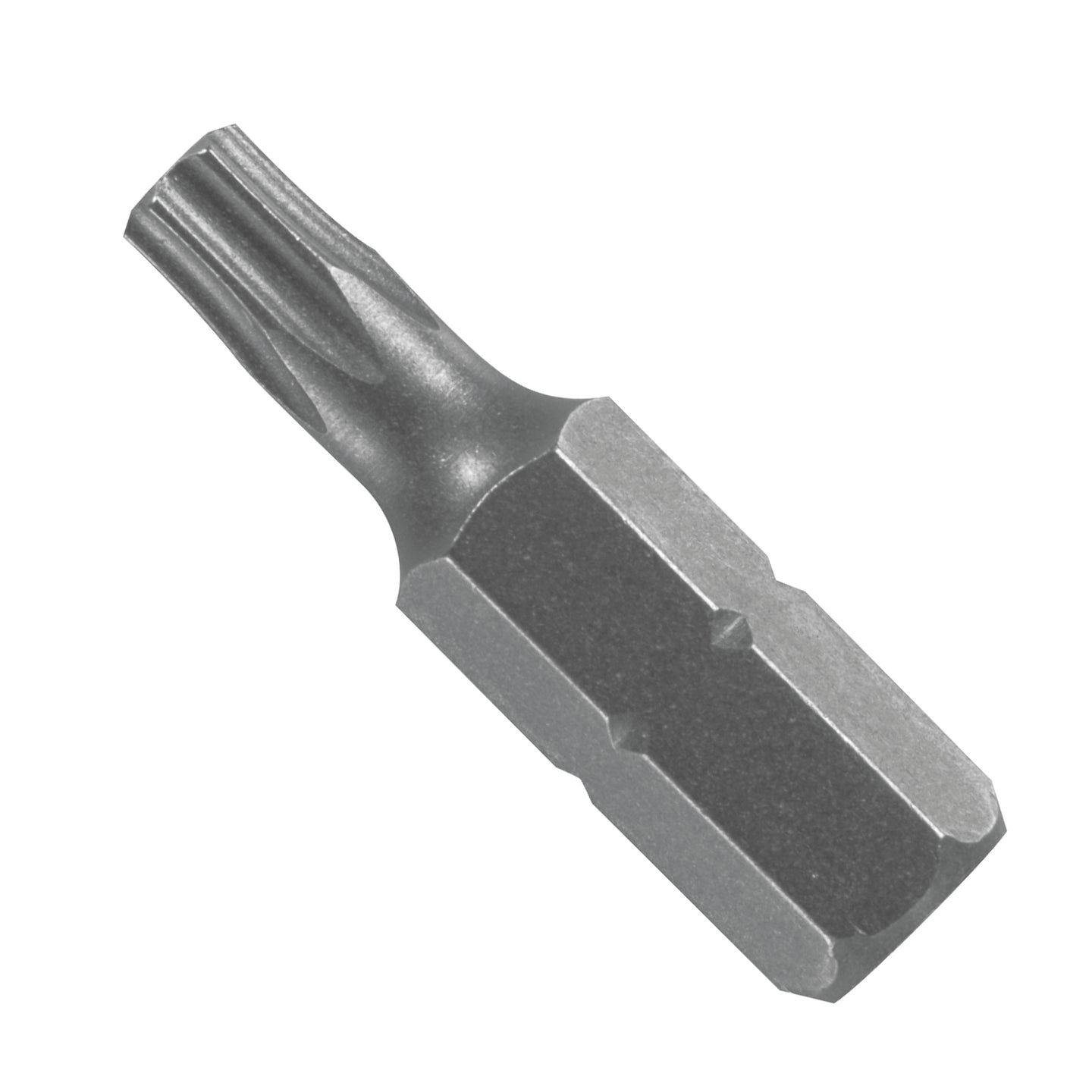 1 In. Torx® T20 Insert Bit (Bulk)