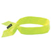 Ergodyne Chill-Its 6700 Cooling Headband - Polymers, Tie Closure