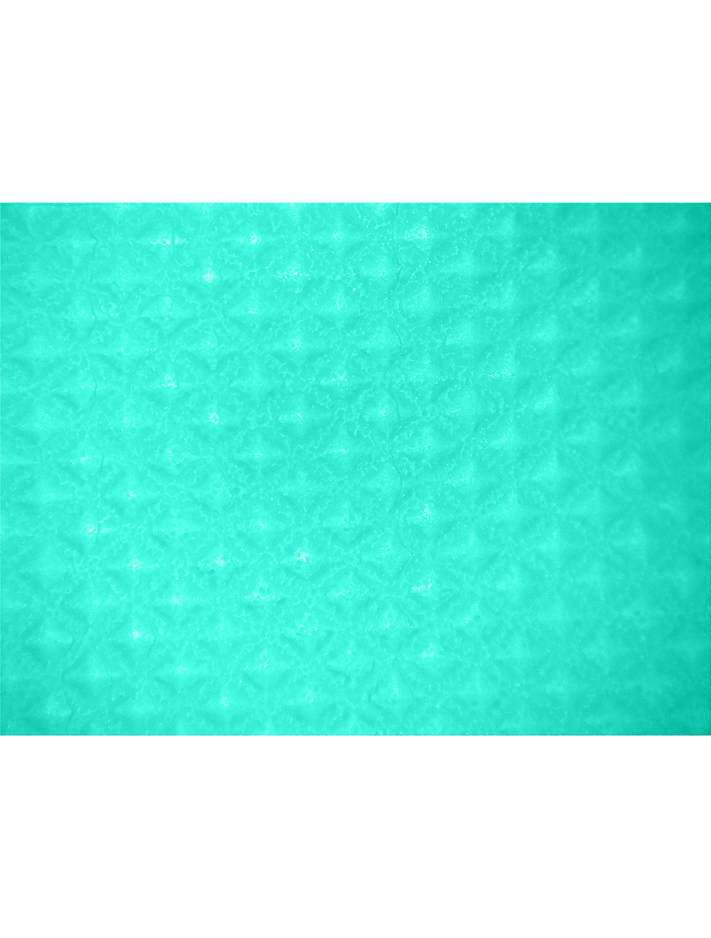 Global Glove 515-XL Zoomed In
