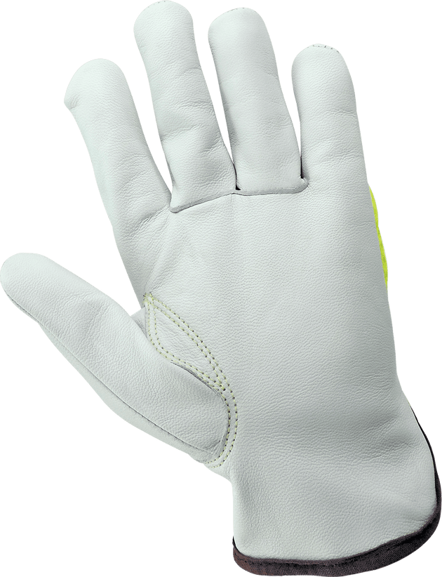 Global Glove 3100GHV Palm View